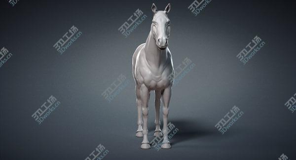 images/goods_img/20210312/Horse Base Mesh 3D model/3.jpg